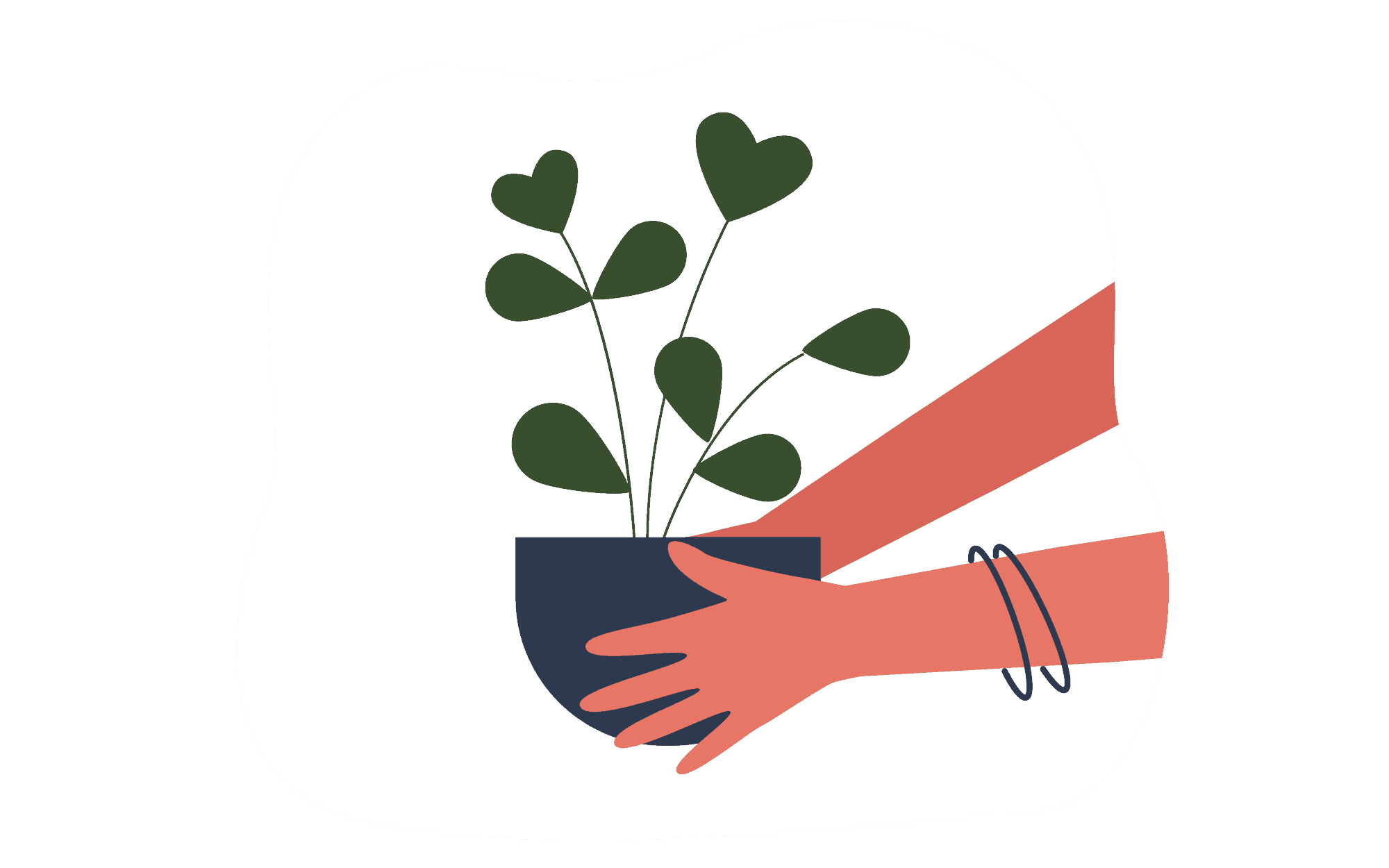 Plant Care illustration